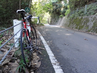 20111016箱根古道11kmP