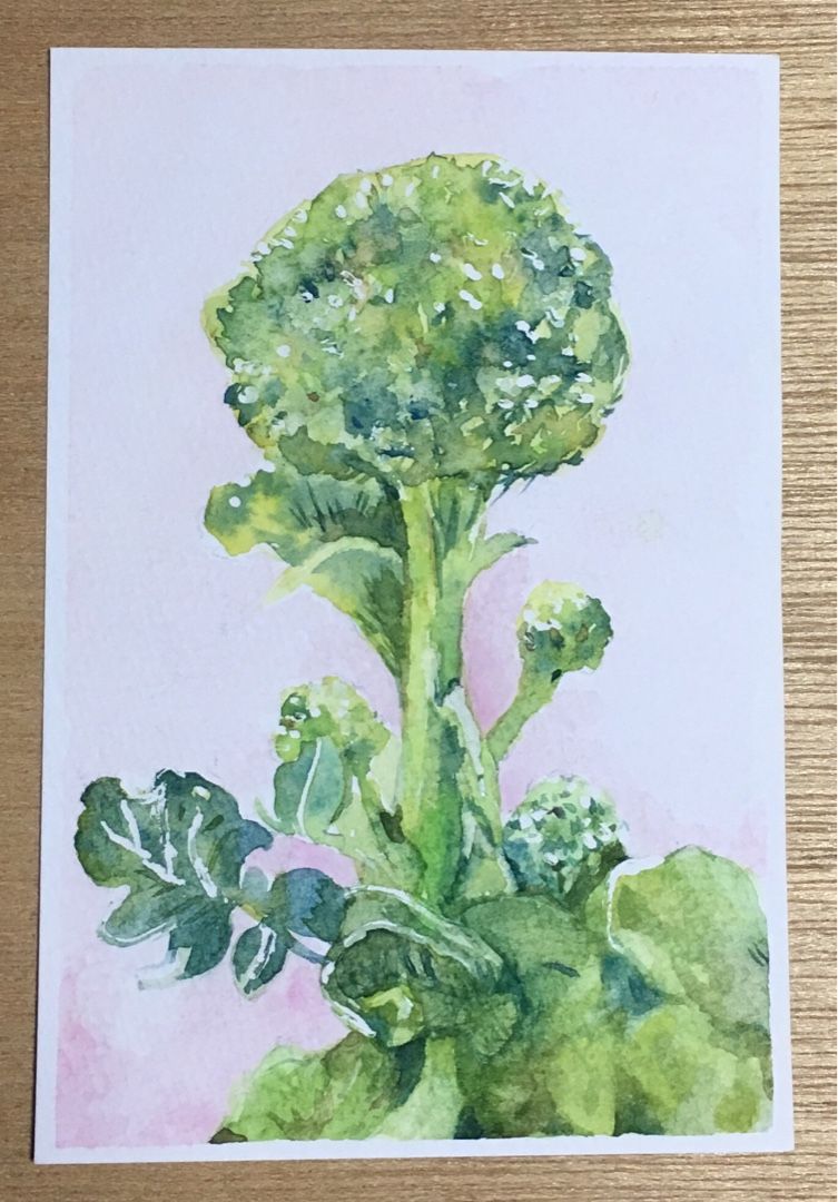 ブロッコリー | 橘 忍 の作品紹介 - 楽天ブログ