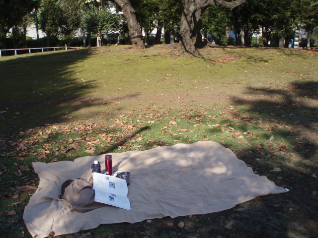 PA150018.jpg