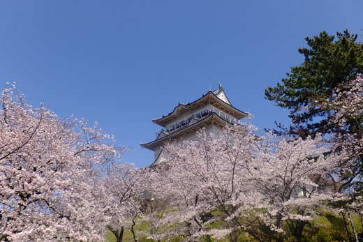 DSCF3293.jpg