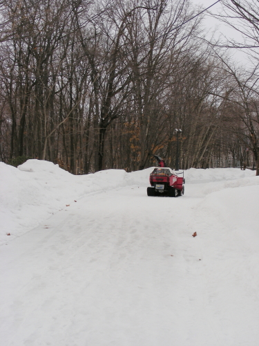 2017-03-16mori (4).JPG