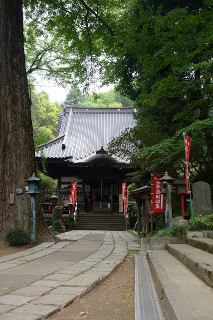 薬師池-08