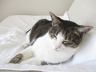 IMG_6194ss.jpg
