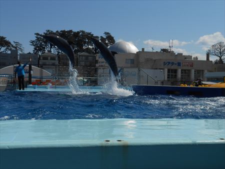 越前松島水族館