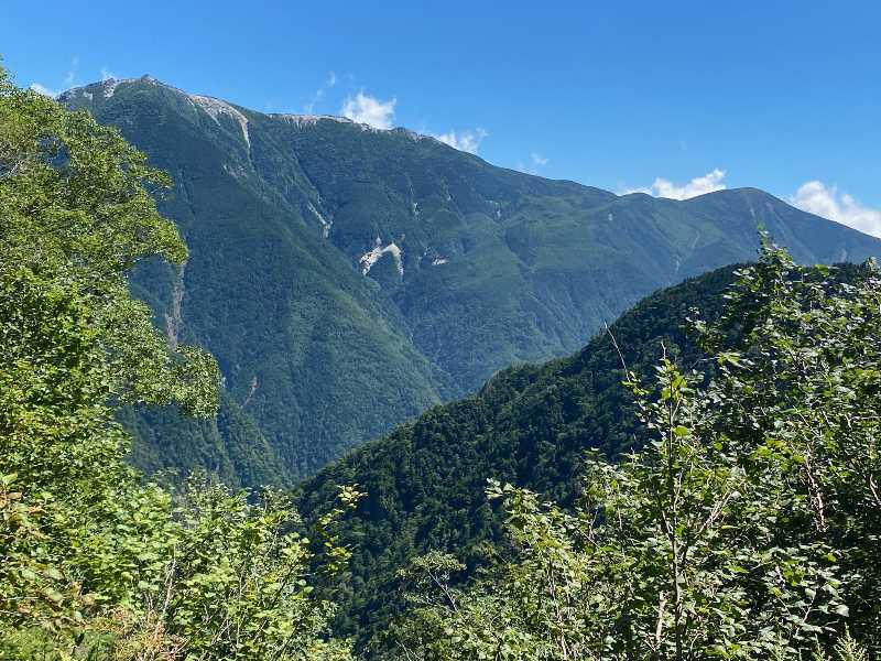 北岳（3193m・日本百名山・山梨百名山・新花の百名山 ）の夏（2）お花畑と稜線と | 醍醐山と下部（しもべ）温泉 - 楽天ブログ