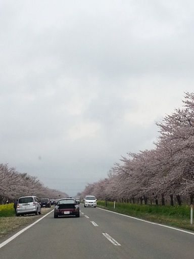 20130505_105033.jpg