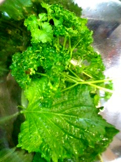 120527_2042~01.jpg