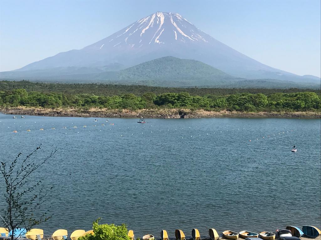 5月のみずうみ 富士五湖からの富士山 本栖湖 精進湖 西湖 醍醐山と下部 しもべ 温泉 楽天ブログ