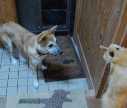 DSC_0003.JPG