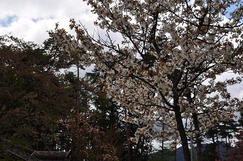 DSC_0147.JPG