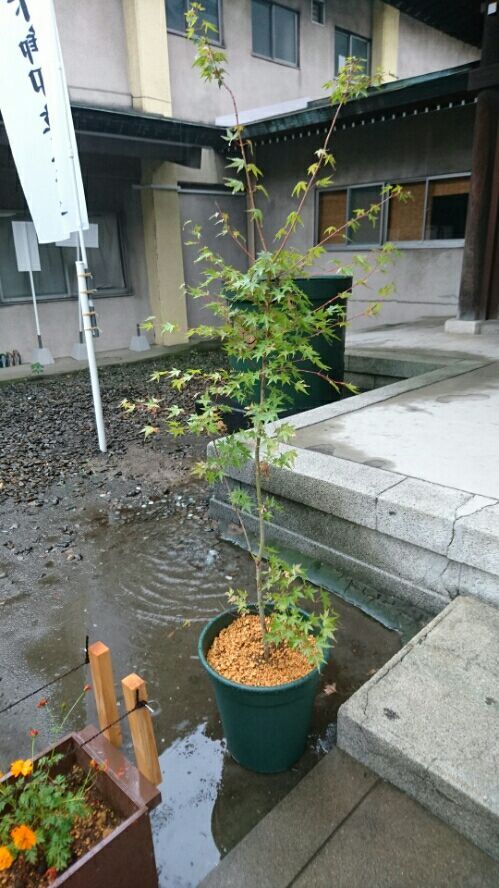 rblog-20181112235024-02.jpg