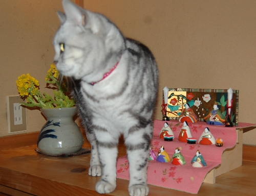 DSC_0099.JPG