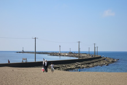 IMG_1480.jpg