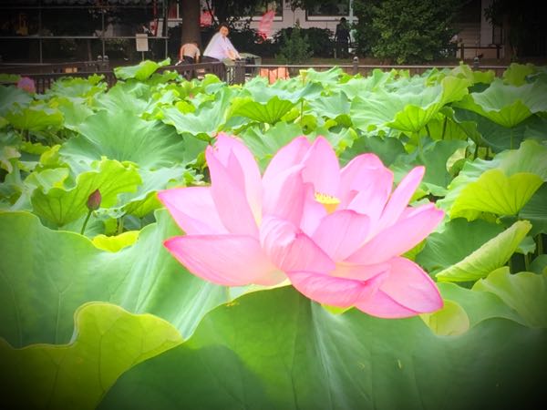 rblog-20170723162651-02.jpg