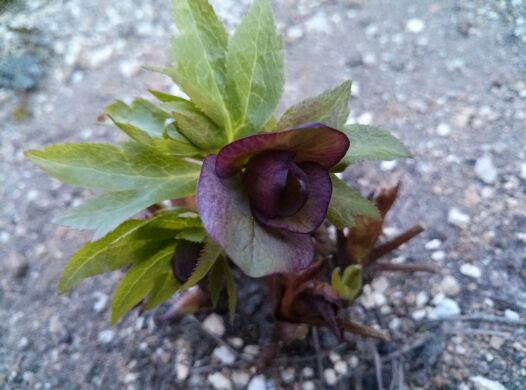 rblog-20140329071449-04.jpg