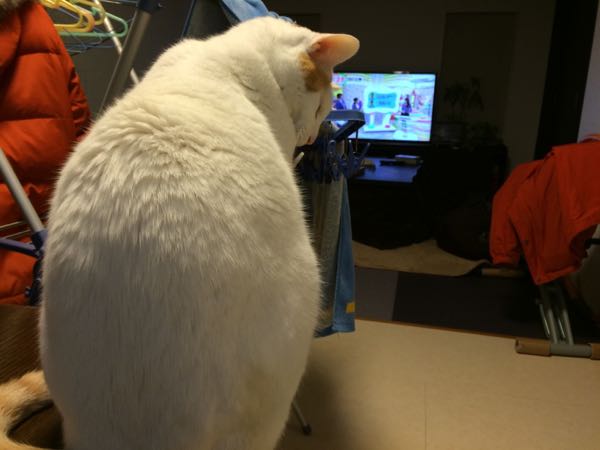 rblog-20150124063408-02.jpg