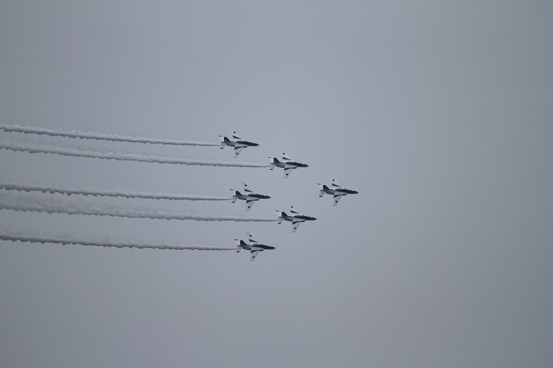IMG_4554.jpg