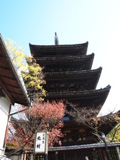 PB180186.JPG