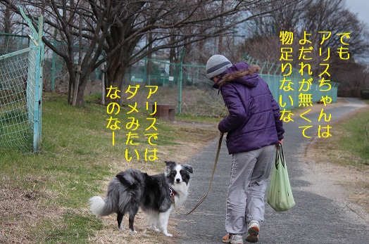 駄目みたい