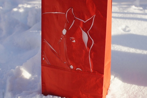 シンエイファイト/滝川ランターンフェスティバル