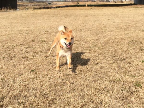 rblog-20160221153207-00.jpg