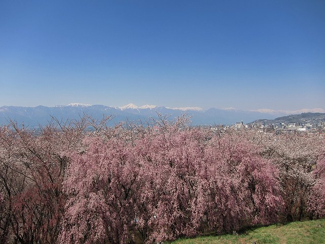 IMG_3439.jpg