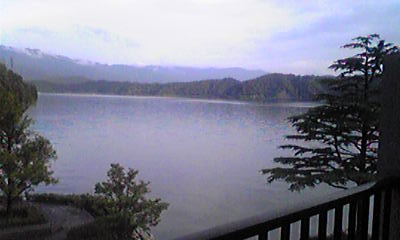 Shiba20120814_2.JPG