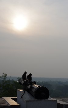 20120818_050.jpg