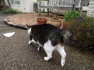 IMG_0679ss.jpg