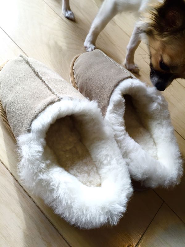 rblog-20151207132124-07.jpg