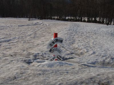 新幹線ポール.jpg