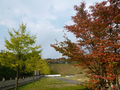 P1130562(1).JPG