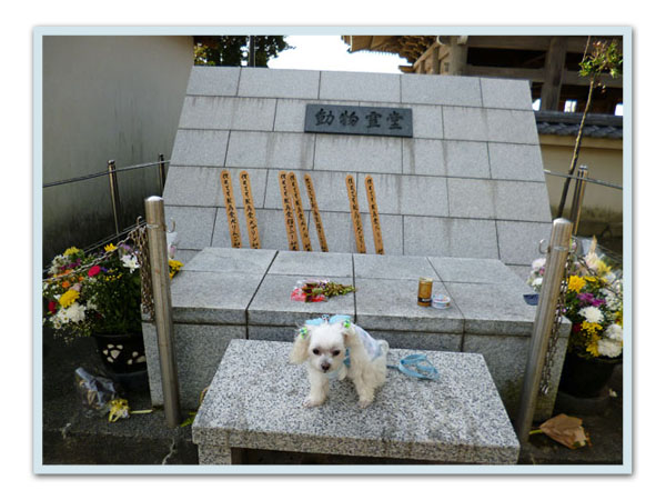 動物霊堂とシル