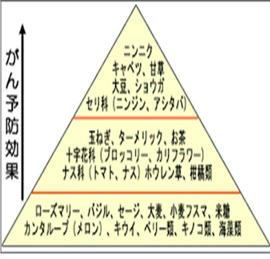 国立がん研究センター Wikipedia
