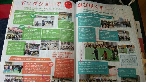 rblog-20150225095750-02.jpg