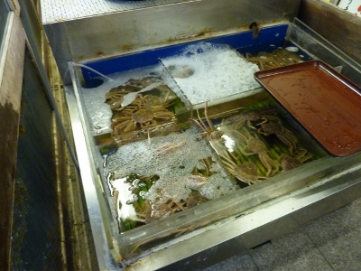 020 (400x300).jpg
