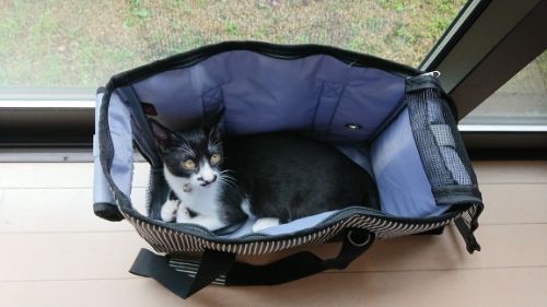 rblog-20180909141345-02.jpg