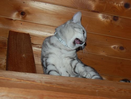 DSC_0577.JPG