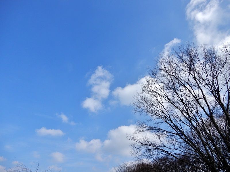 空3