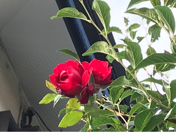 rblog-20180624181630-02.jpg
