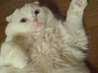 170208_2052~03.jpg