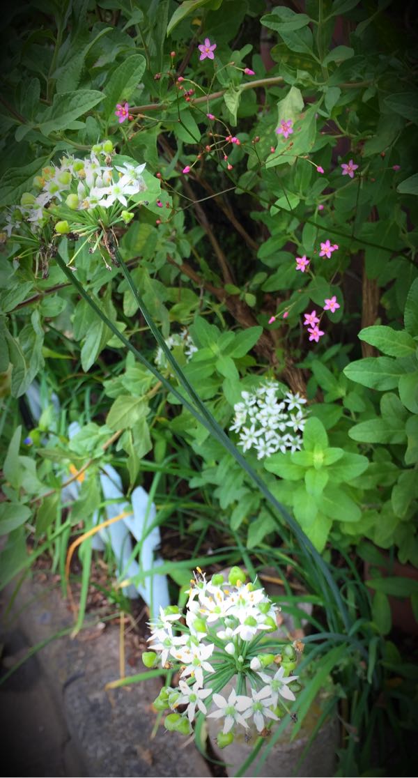 rblog-20160828185821-07.jpg