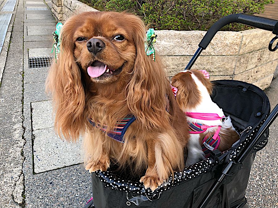 rblog-20181025205907-01.jpg