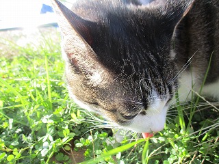 IMG_5677ss.jpg