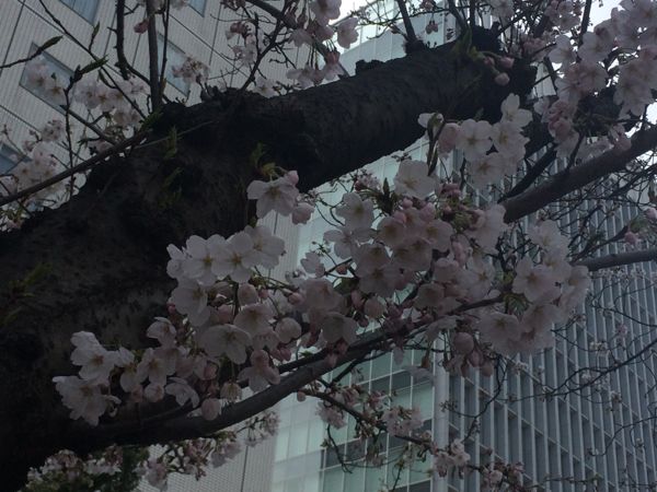 rblog-20140330182520-00.jpg