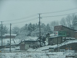 DSCN9971.jpg