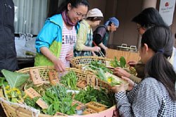 山菜市3.jpg