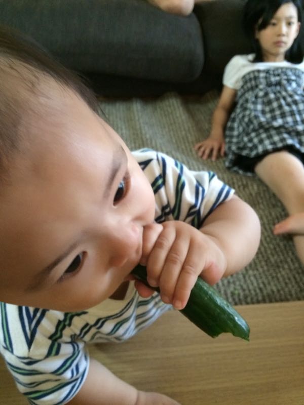 rblog-20150602234916-01.jpg