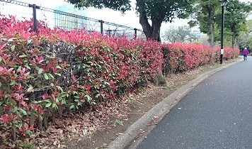 赤の通路