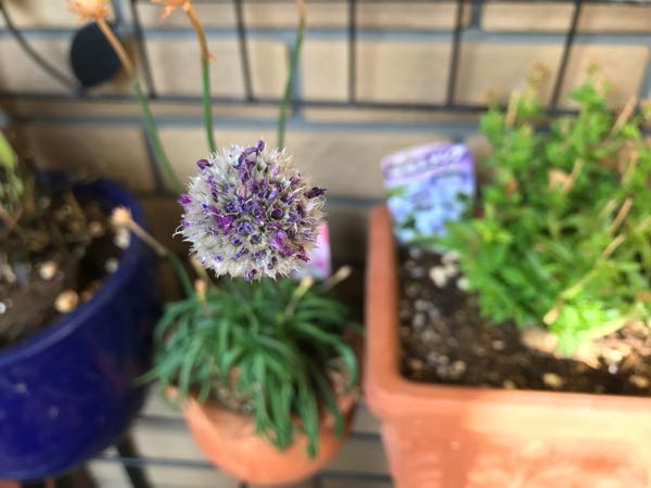 rblog-20180324203515-07.jpg